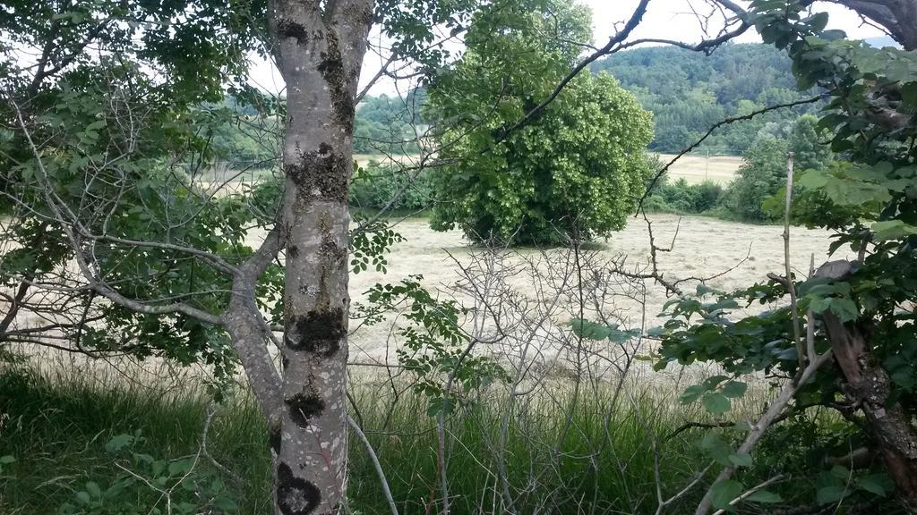 Homestead Vrbin Divača Exteriér fotografie